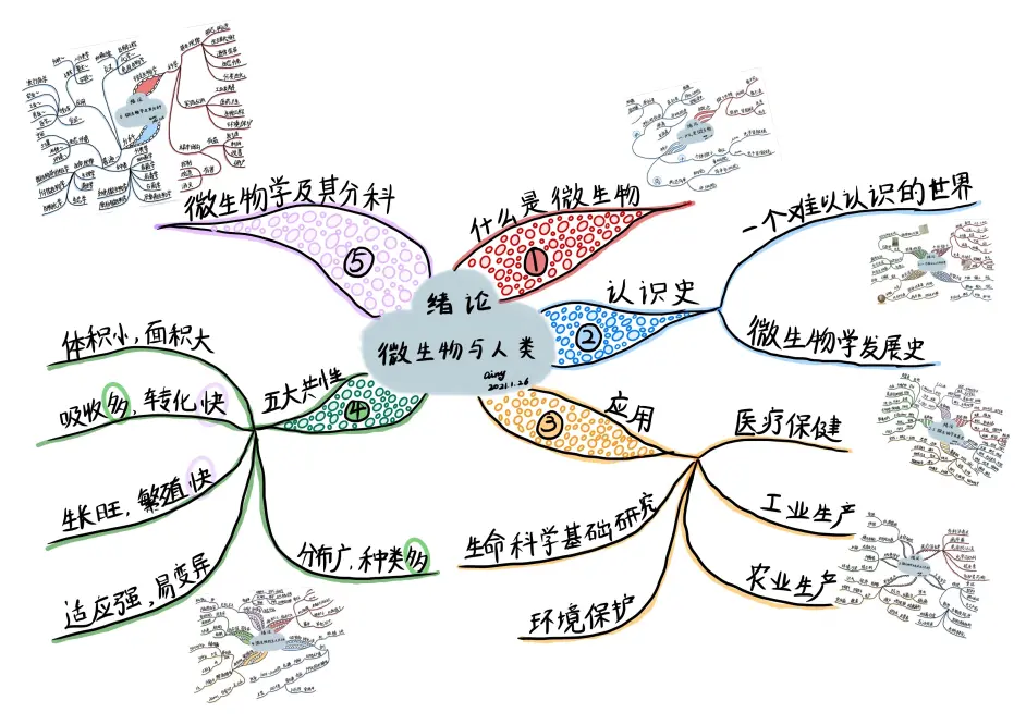 微生物学教程 绪论 思维导图 哔哩哔哩