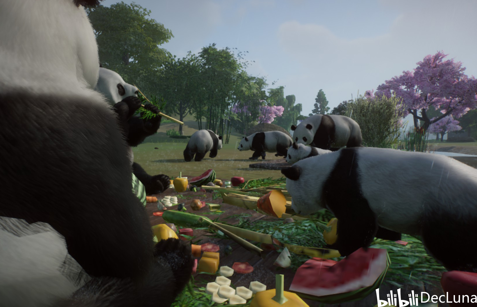 动物园之星-晨夕