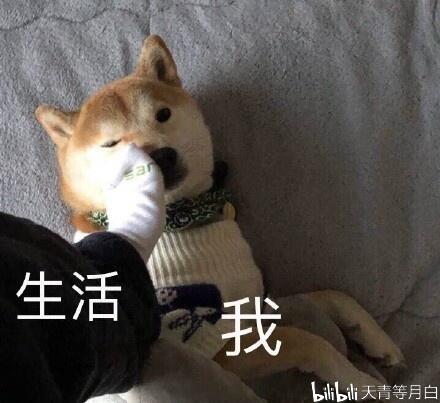 还有四个月，你的年末计划做了吗？ - 哔哩哔哩