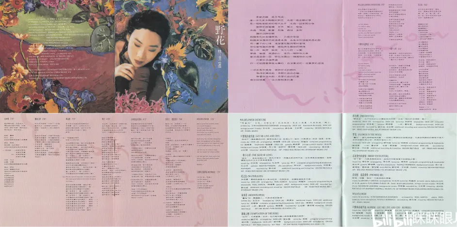 林忆莲 莲货 野花 哔哩哔哩