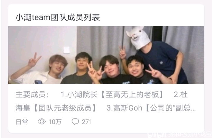 【全站第一】小潮team团队成员列表收录 哔哩哔哩