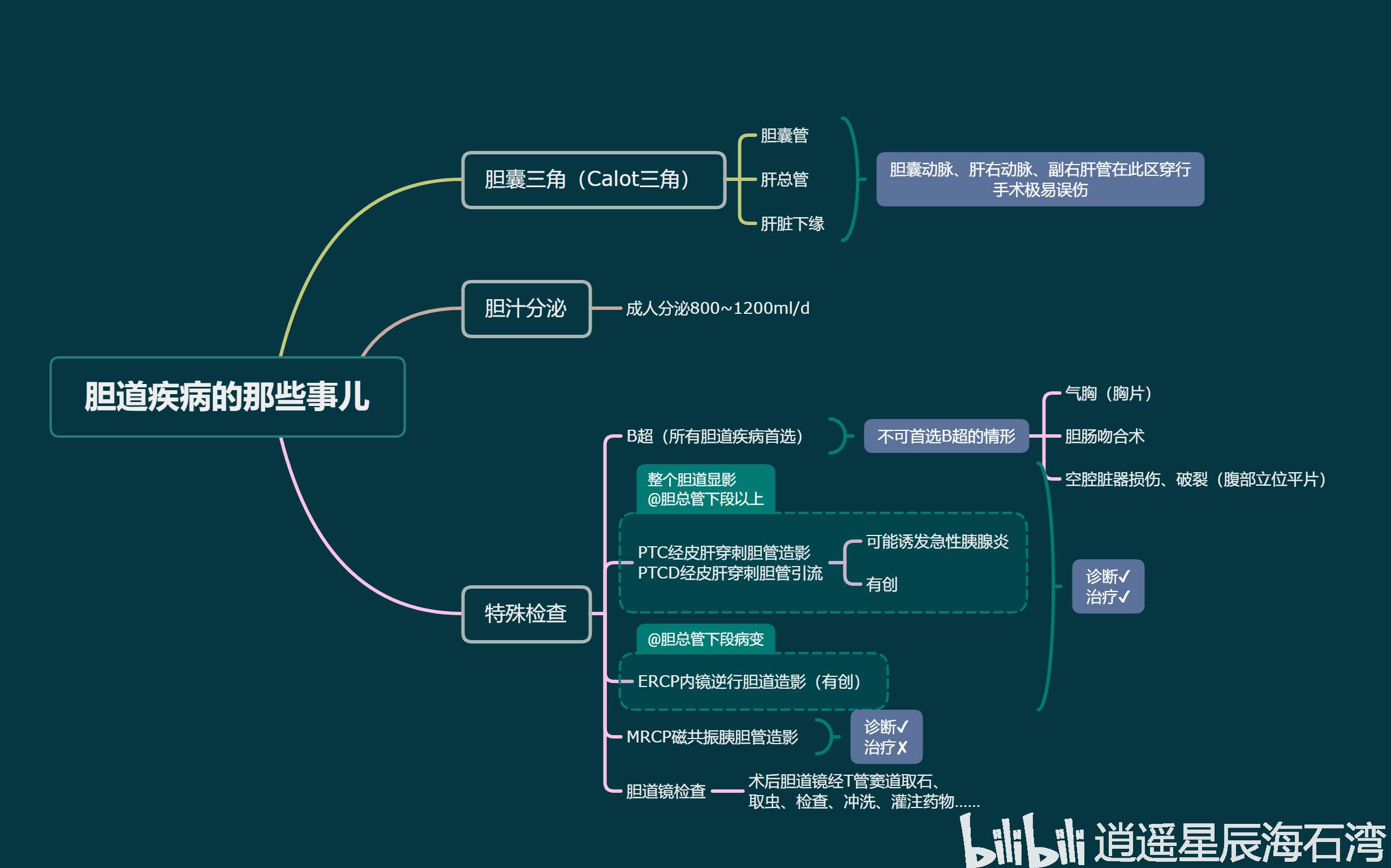 胆道疾病护理思维导图图片