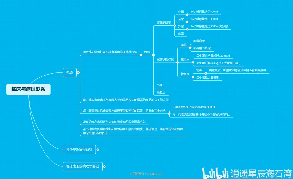 头脑风暴 第277期 病理学泌尿系统疾病 3 哔哩哔哩