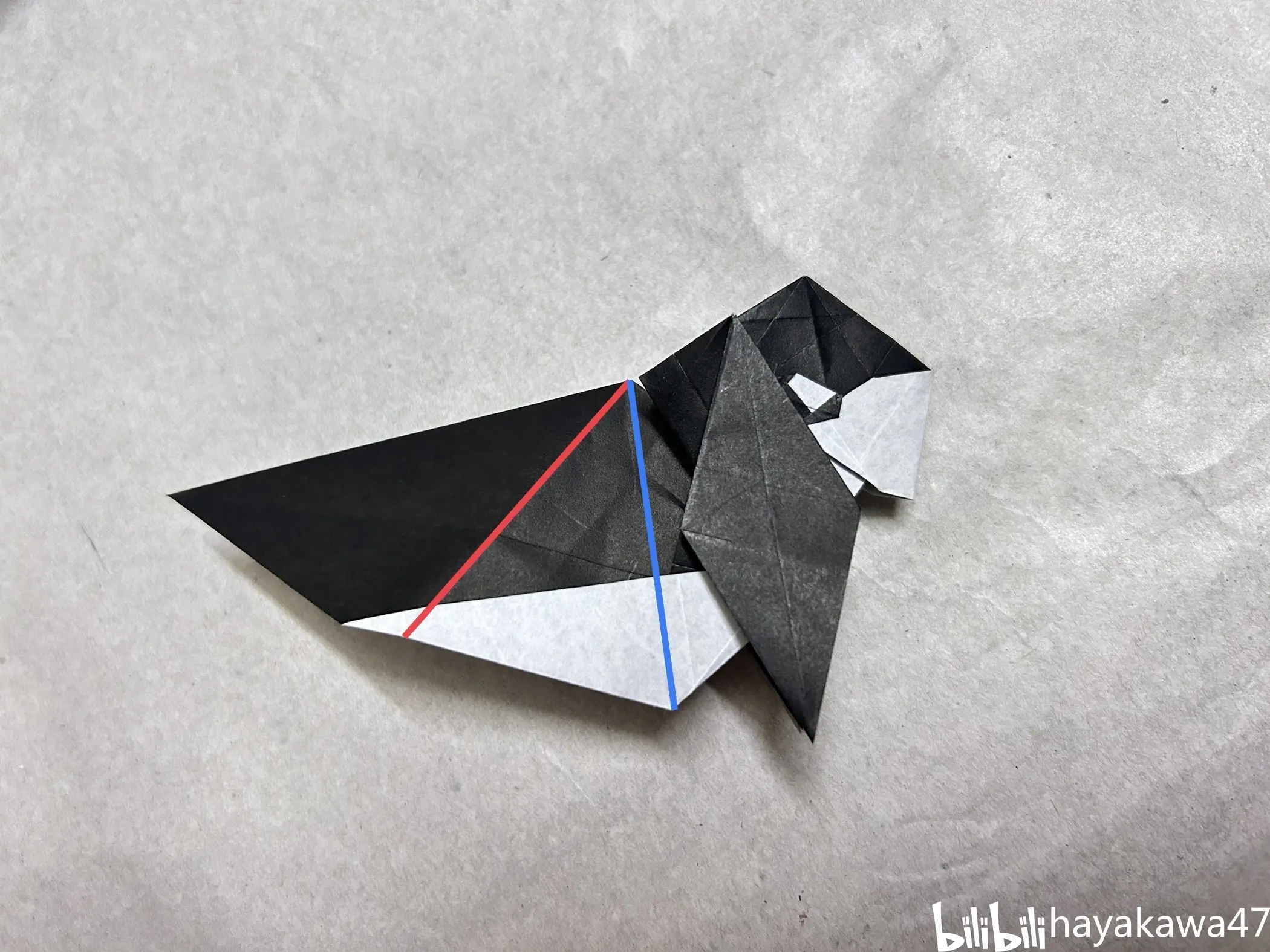 【折纸教程】虎鲸