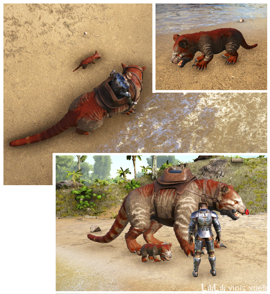 方舟生存进化生物篇袋狮