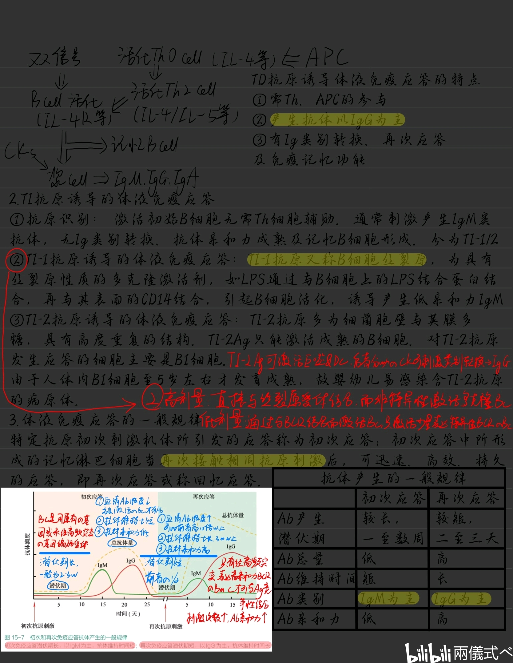 医学免疫学笔记5(适应性免疫应答,固有免疫细胞)