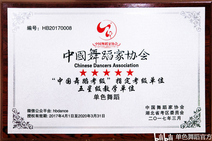 街舞比赛：魅力之花绽放于舞台