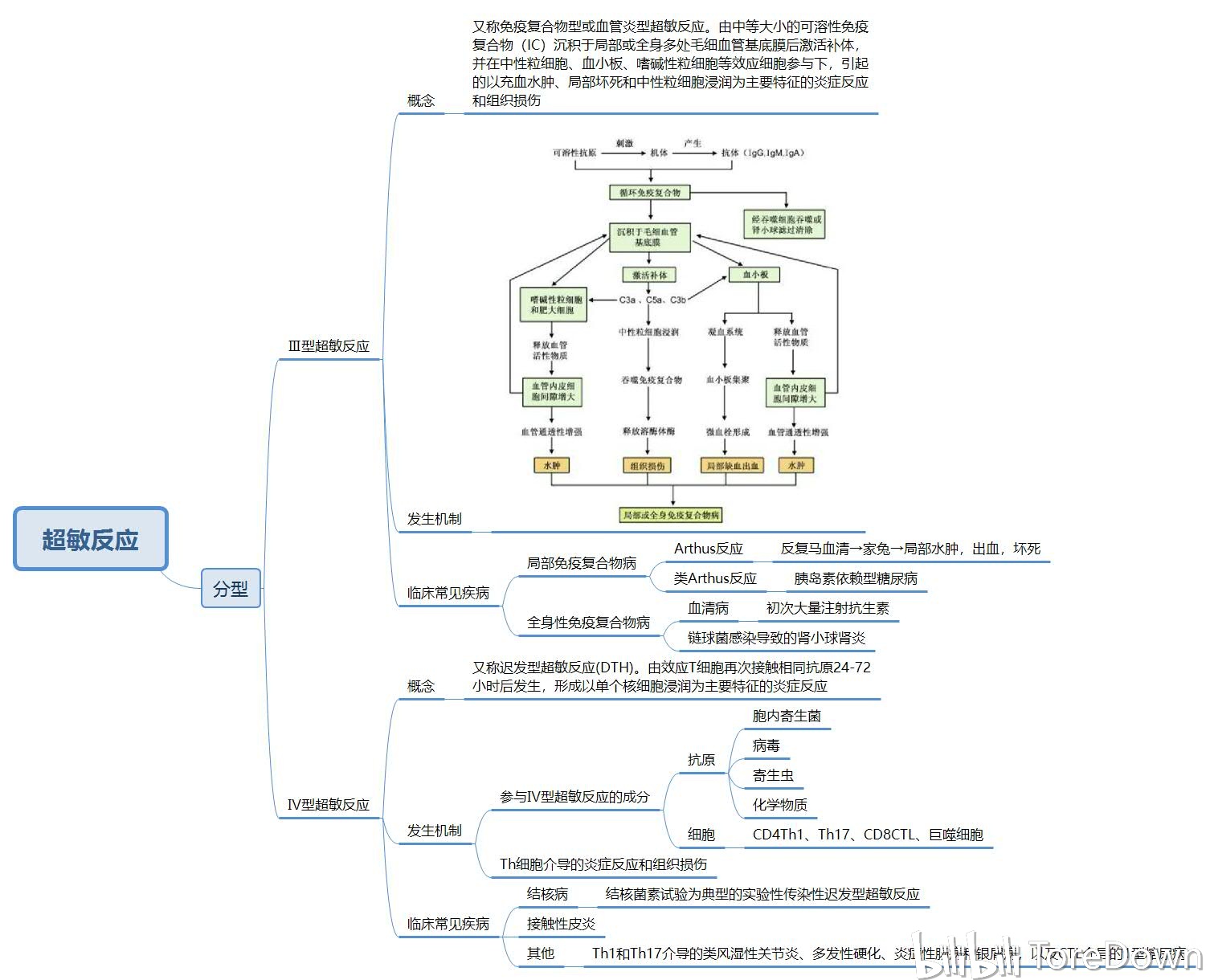 醫學免疫學(下篇) 思維導圖