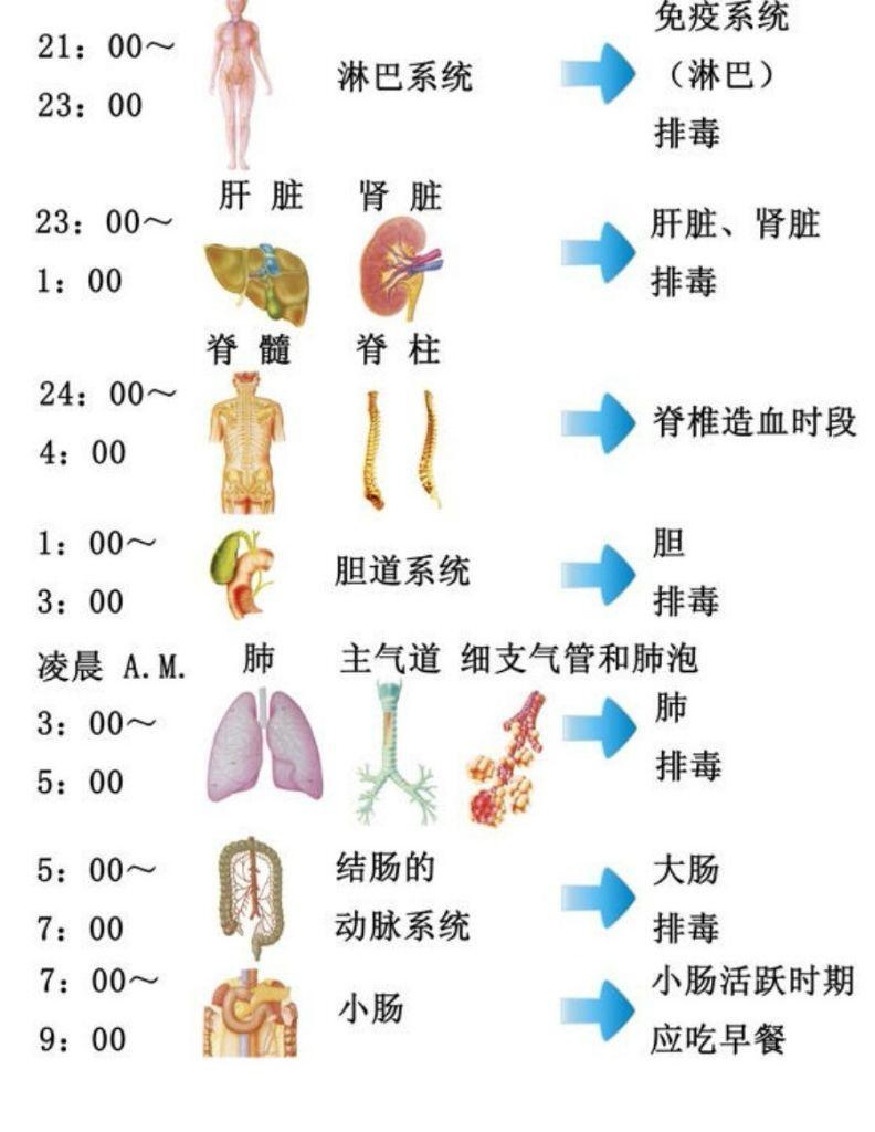 如果你要熬夜请先看看这篇文章真正了解后再继续