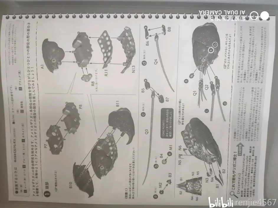 富士美自由研究系列no 24 小龙虾模型红色版 哔哩哔哩