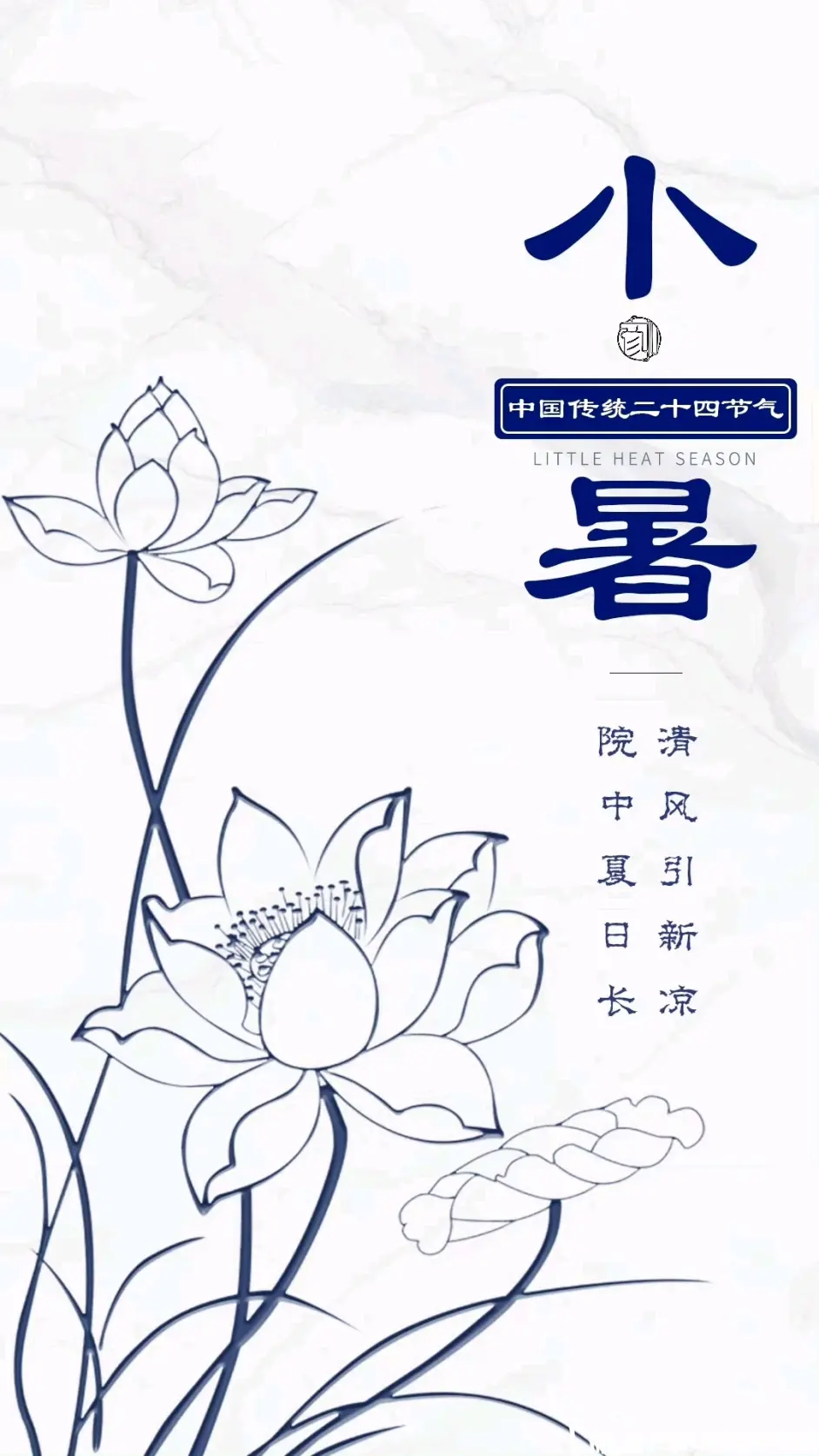 今日小暑