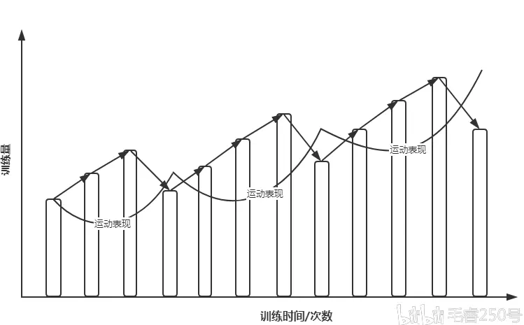 周期化训练 基本应用 哔哩哔哩