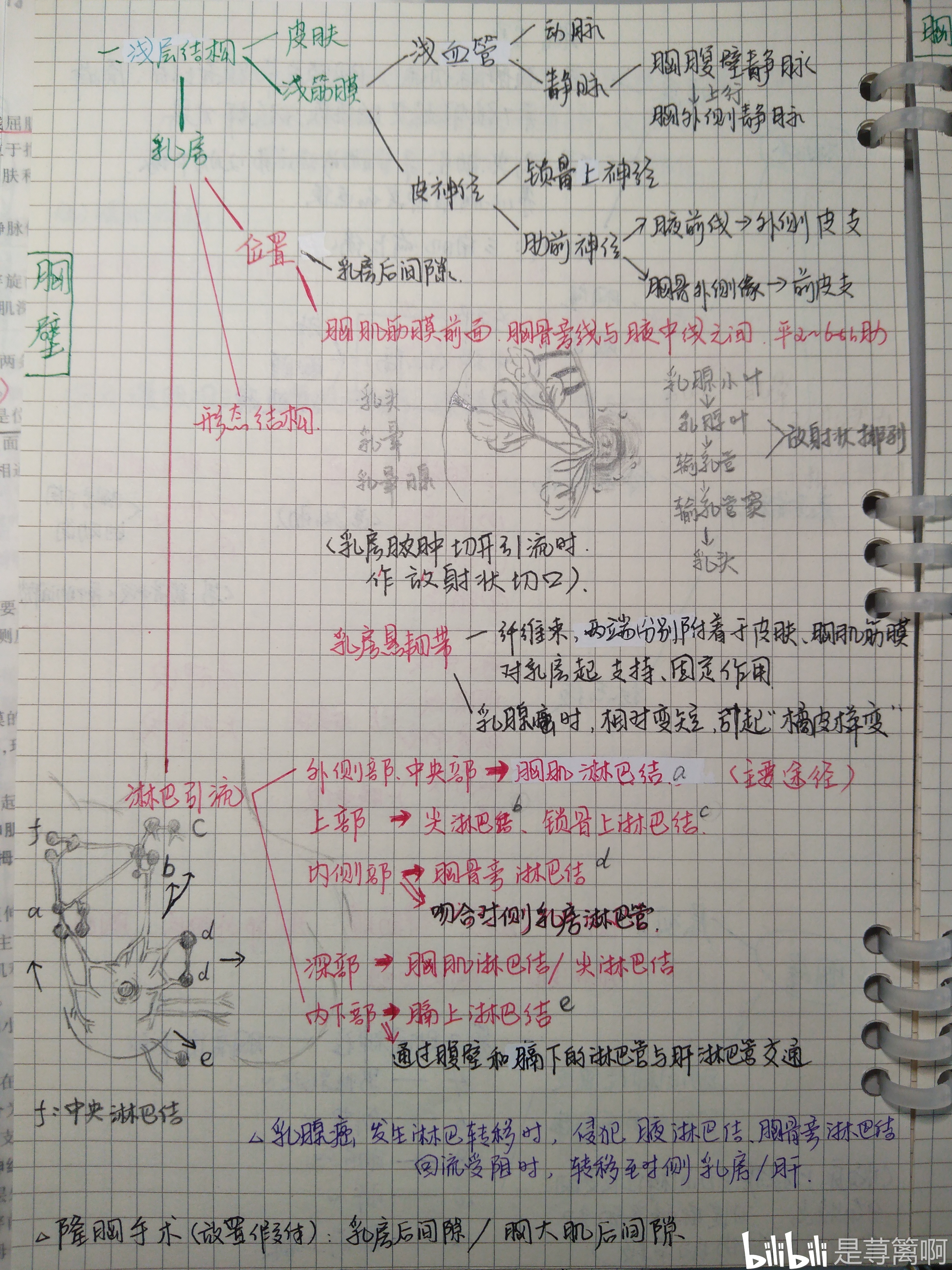 我的方格草稿紙太多了,不寫估計用不完,拿電腦做思維導圖又太費眼,想