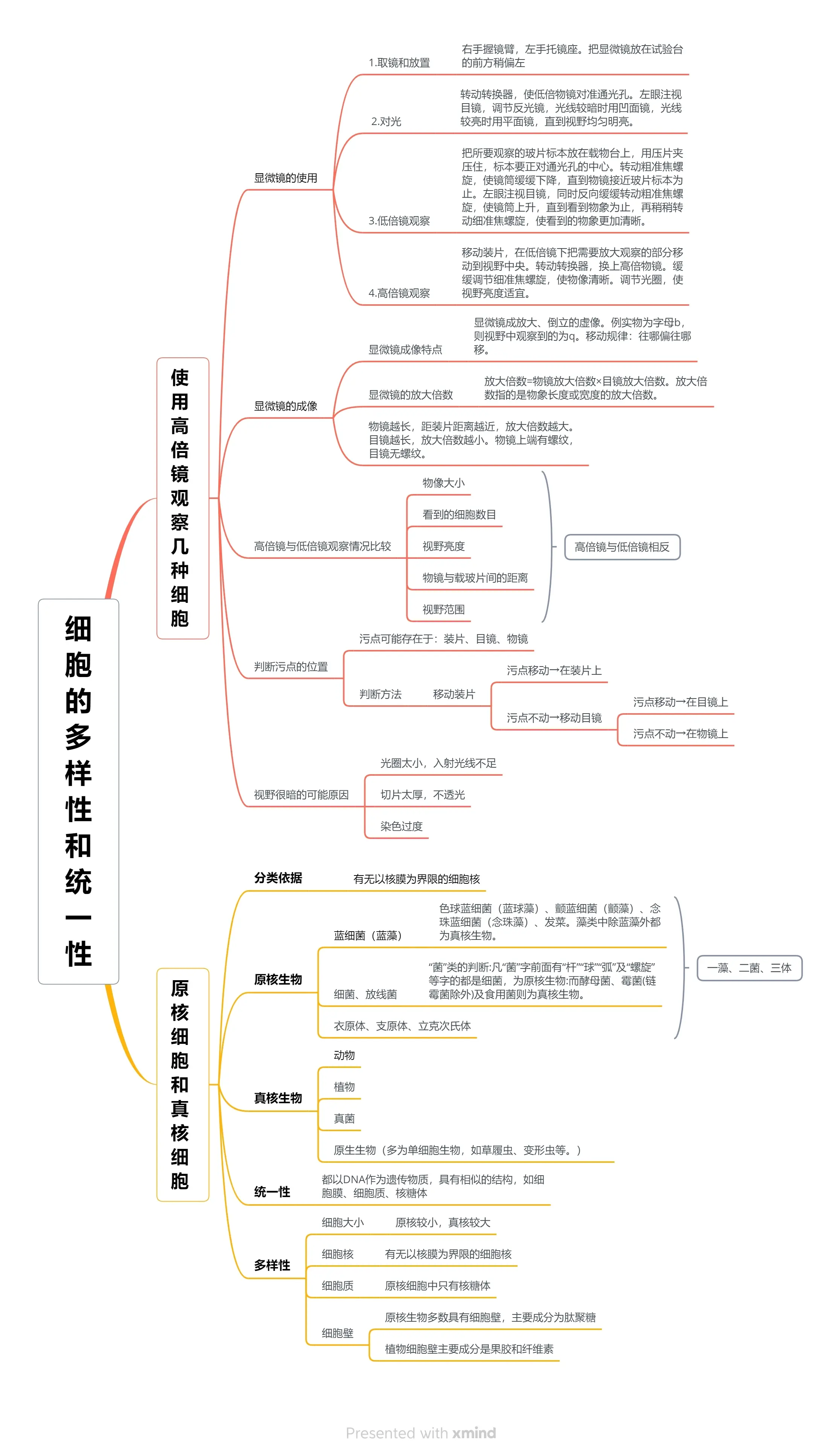 思维导图生物第一单元图片