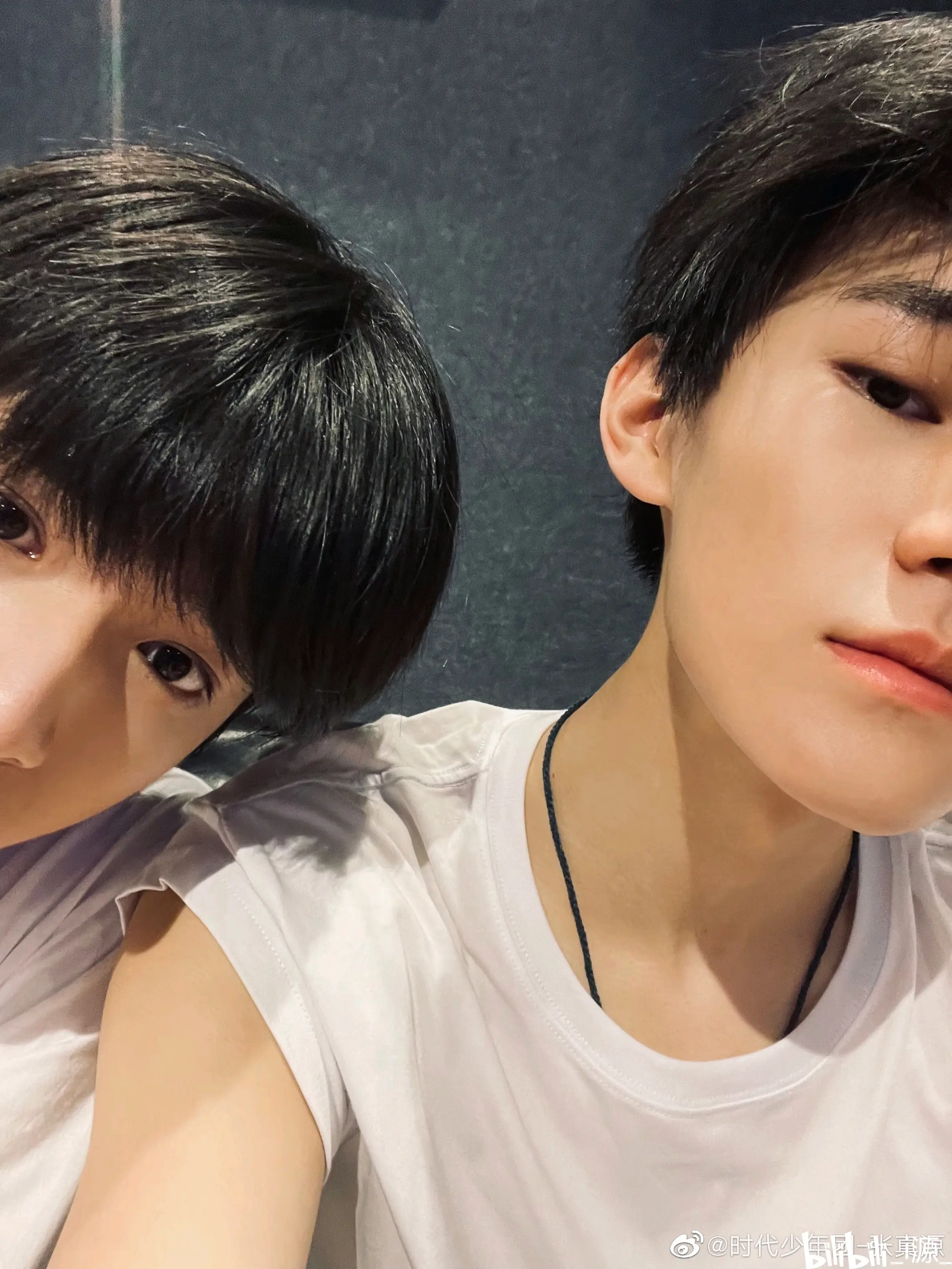 捡到的小狼要爱一辈子【真文/文真】【张真源×刘耀文】