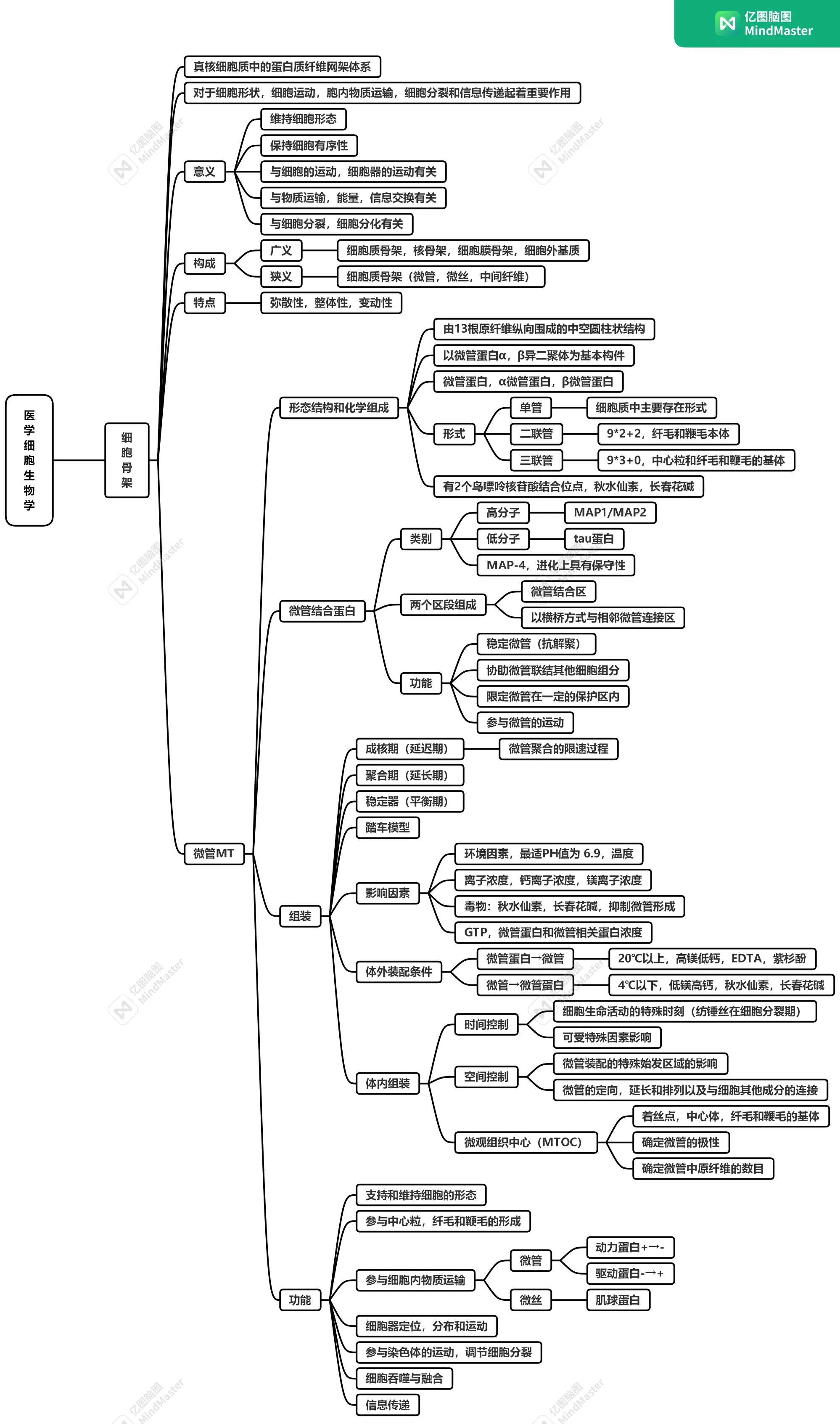 细胞工程思维导图高清图片