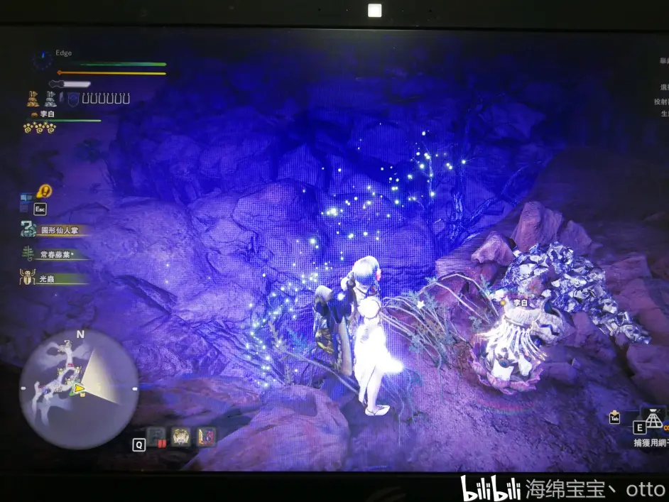 怪猎冰原尖铠玉速刷方法 不作弊 哔哩哔哩