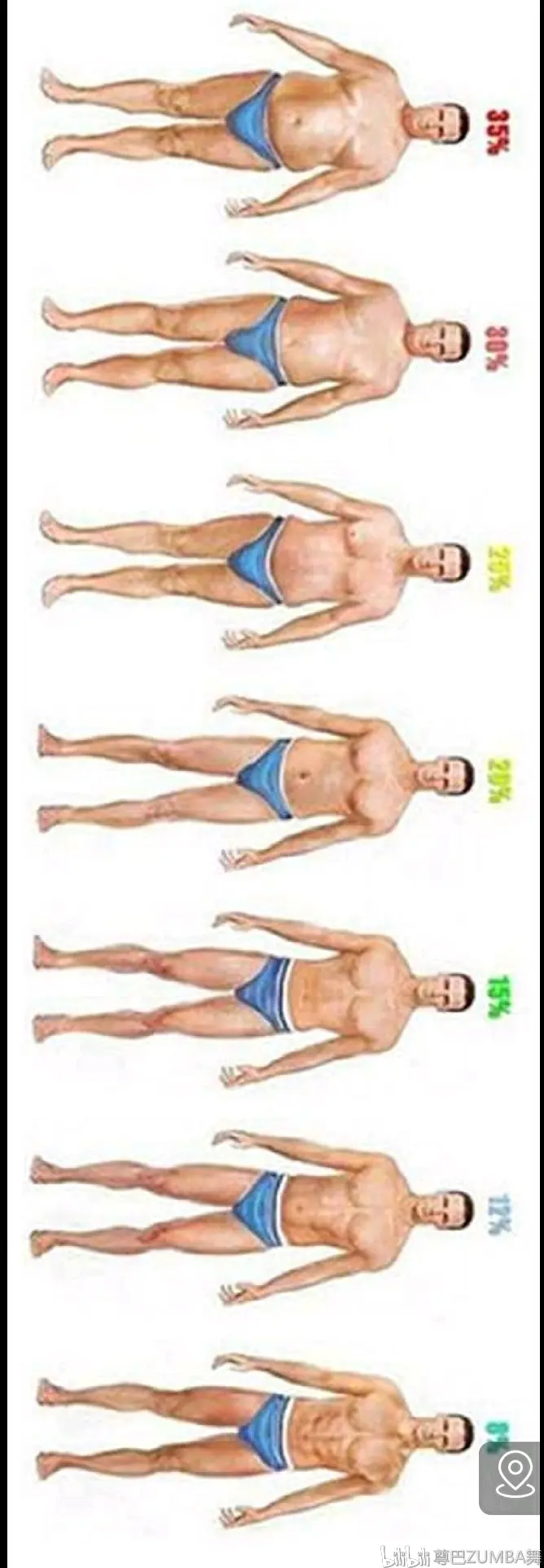 男女不同的体脂肪百分比 哔哩哔哩