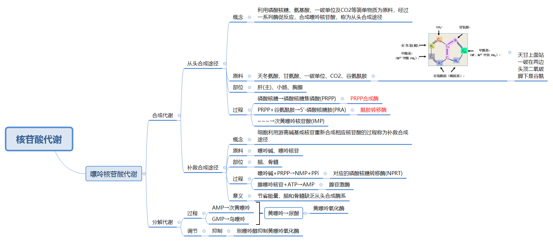 生物化学与分子生物学思维导图