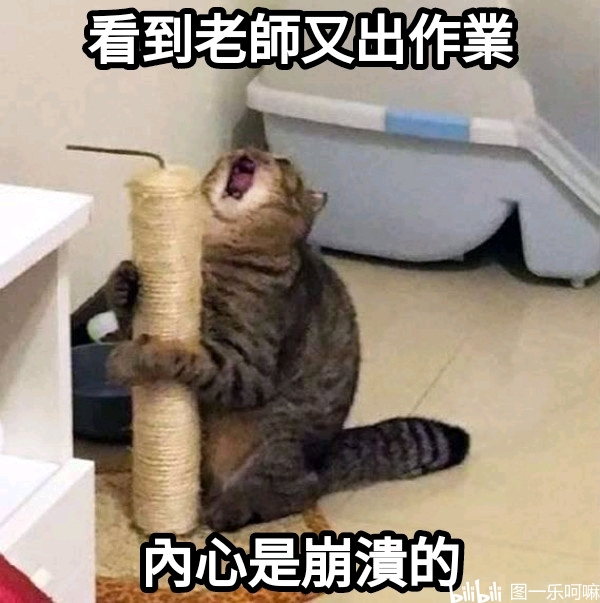 meme图合集1 - 哔哩哔哩