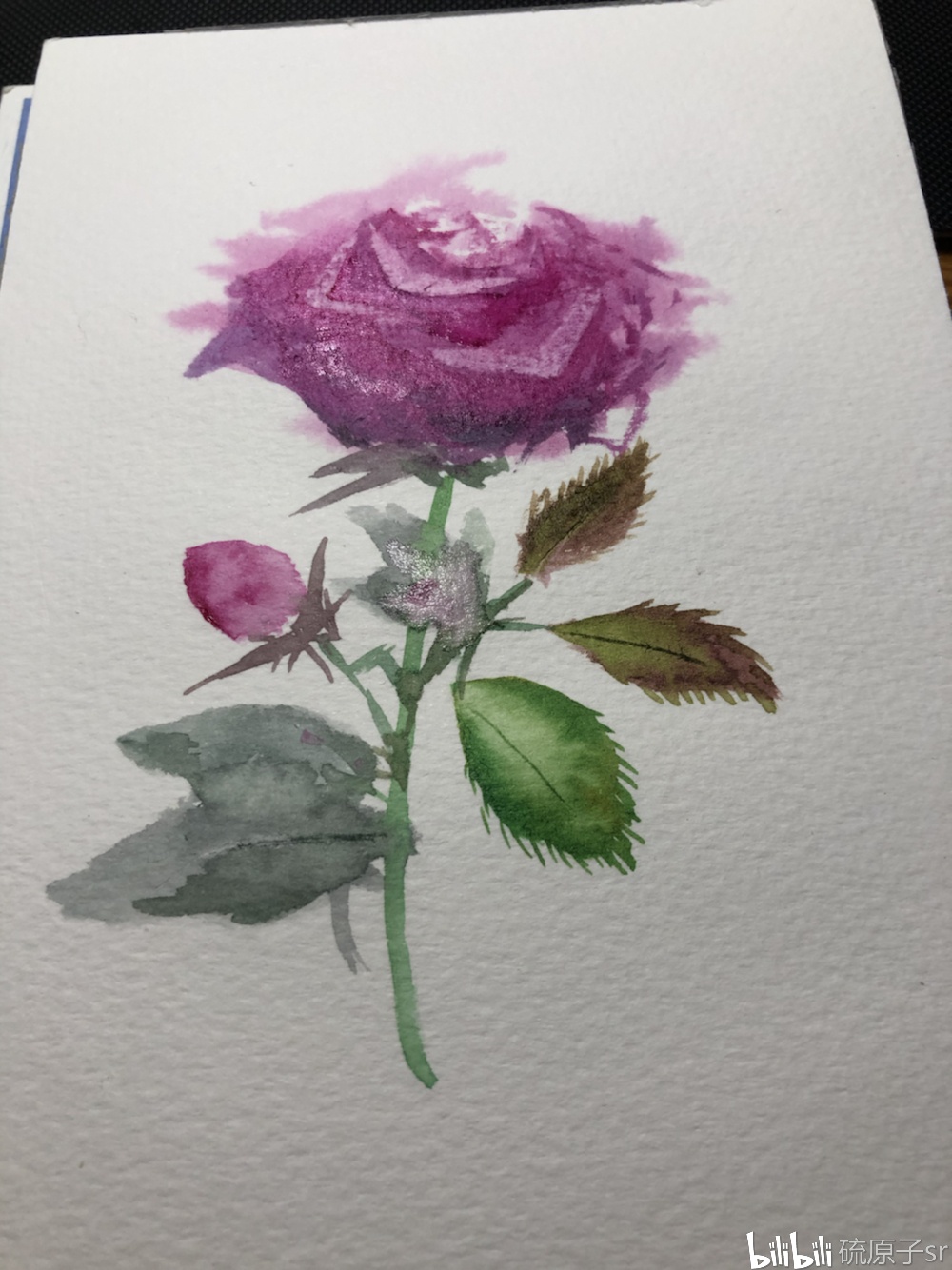 跟着柴崎爷爷学水彩(一)