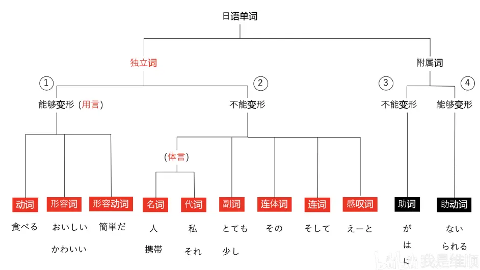 日语词汇的分类图 哔哩哔哩