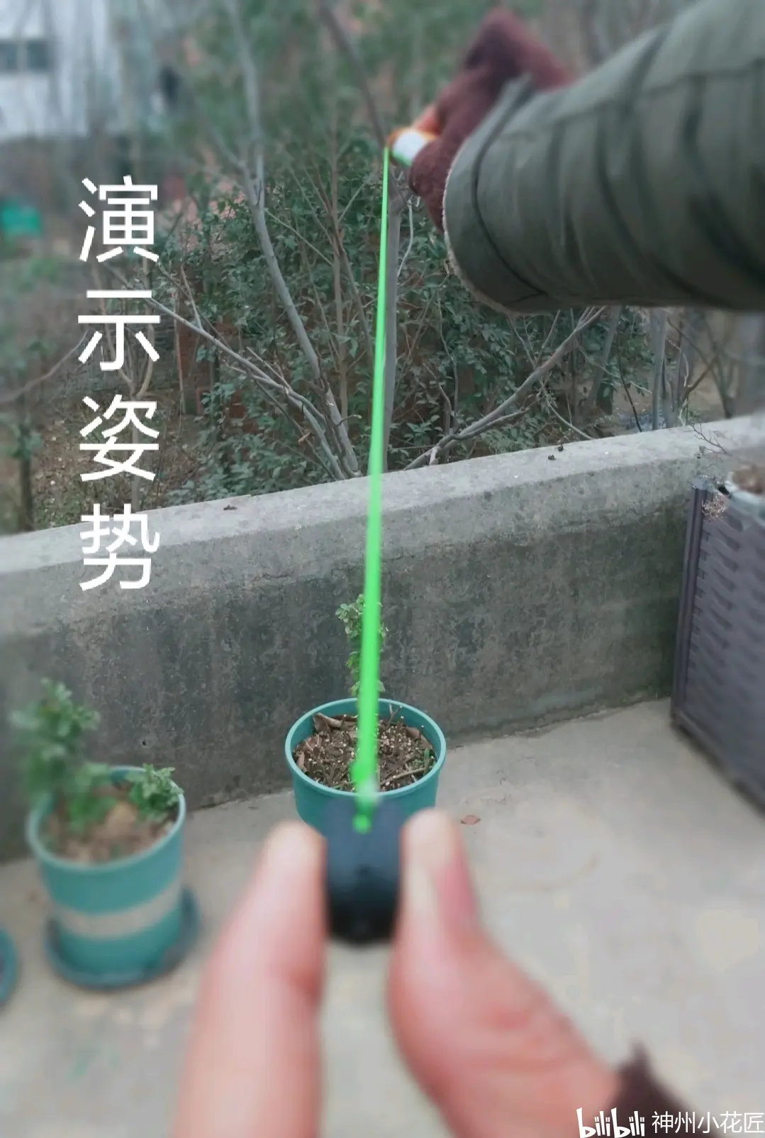 快速学会:海派无架弹弓 - 哔哩哔哩