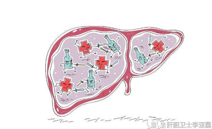 肝损害只有到了非常严重的程度,影响到肝脏的代偿功能,身体才会出现