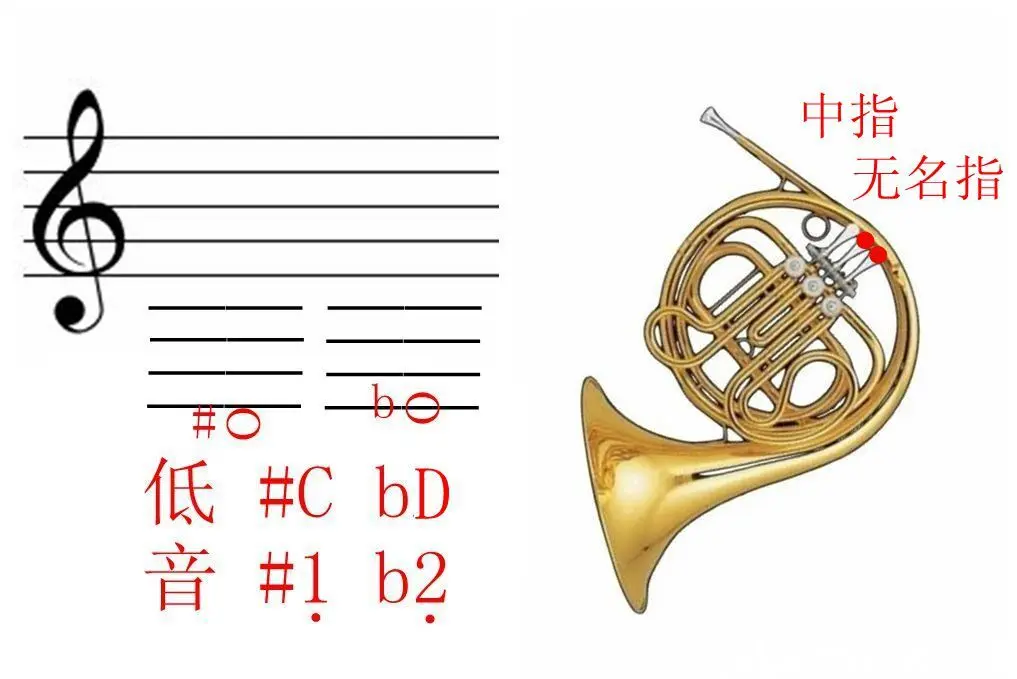 降b调圆号指法表图片