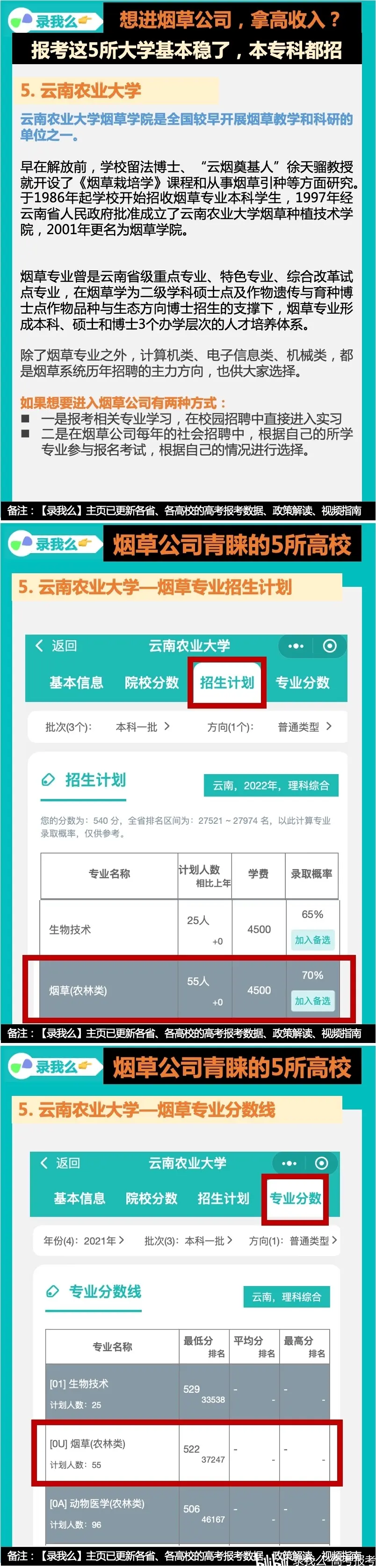 分数不高,但想进烟草公司端金饭碗?这5所大学是首选,本专都招
