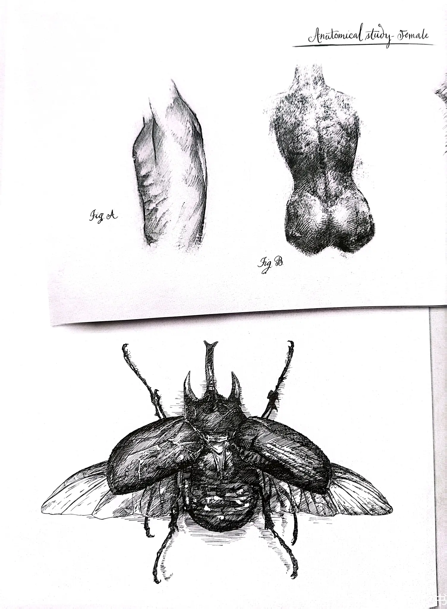 《异形》大卫手稿 赏析 - 上