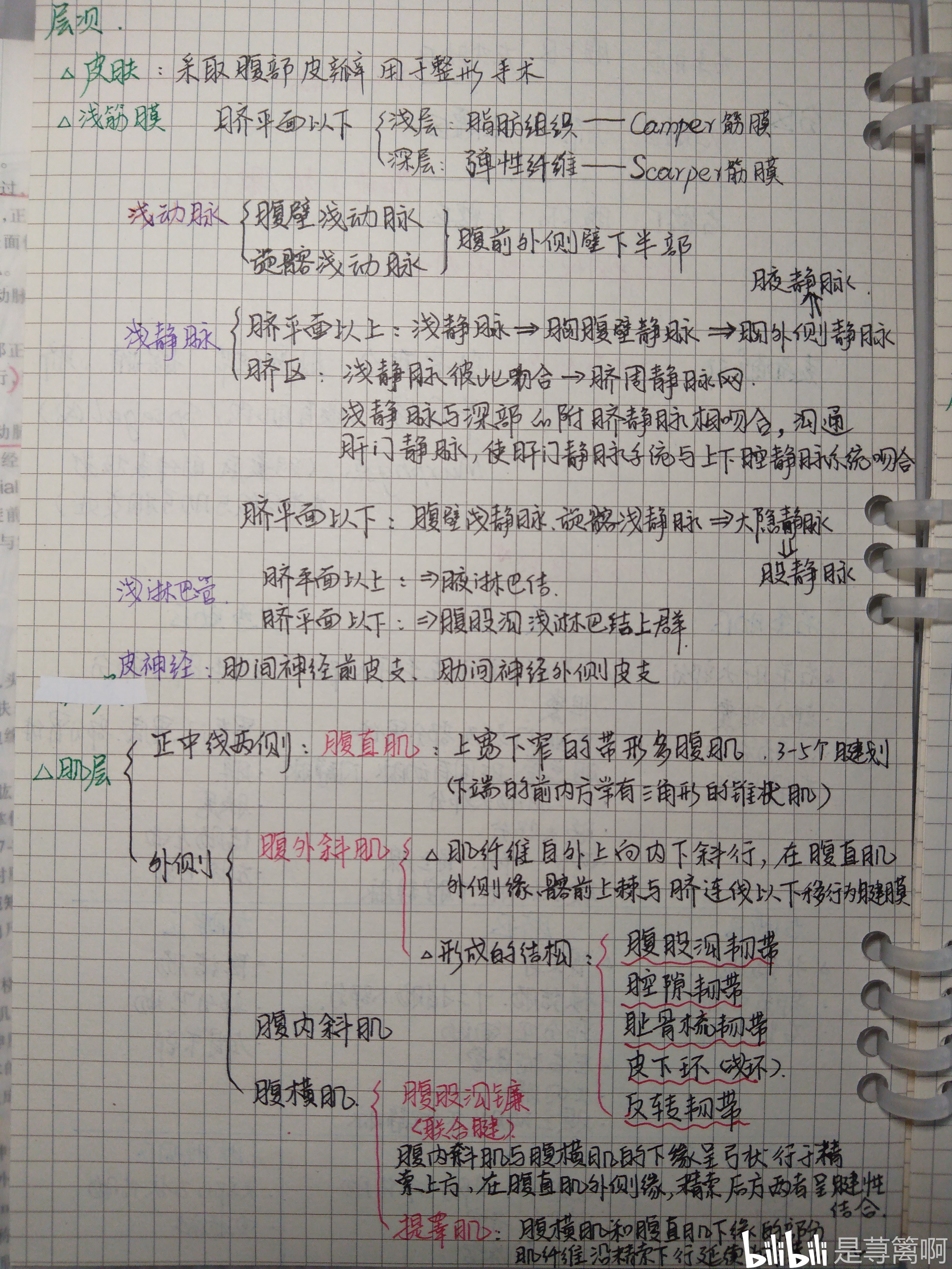 不寫估計用不完,拿電腦做思維導圖又太費眼,想來想去還是手寫了