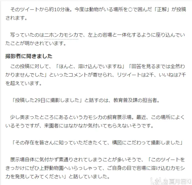 上野动物园推特上出题上热门 你能看出照片中有动物吗 夏月雅虎日本新闻翻译 哔哩哔哩