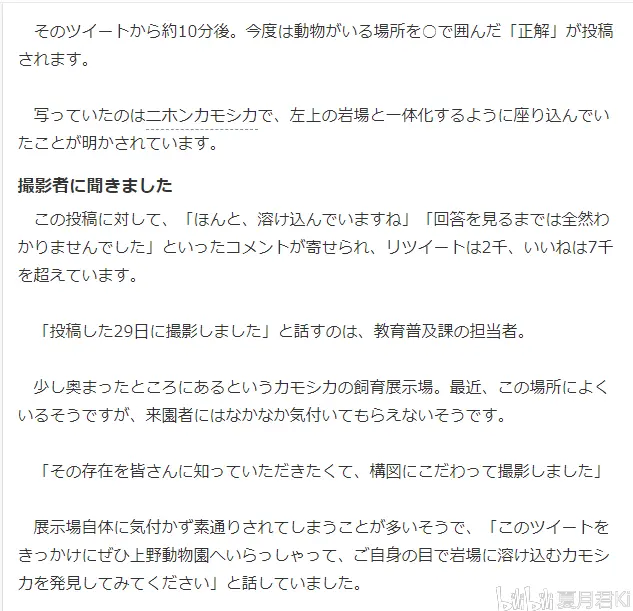 上野动物园推特上出题上热门 你能看出照片中有动物吗 夏月雅虎日本新闻翻译 哔哩哔哩