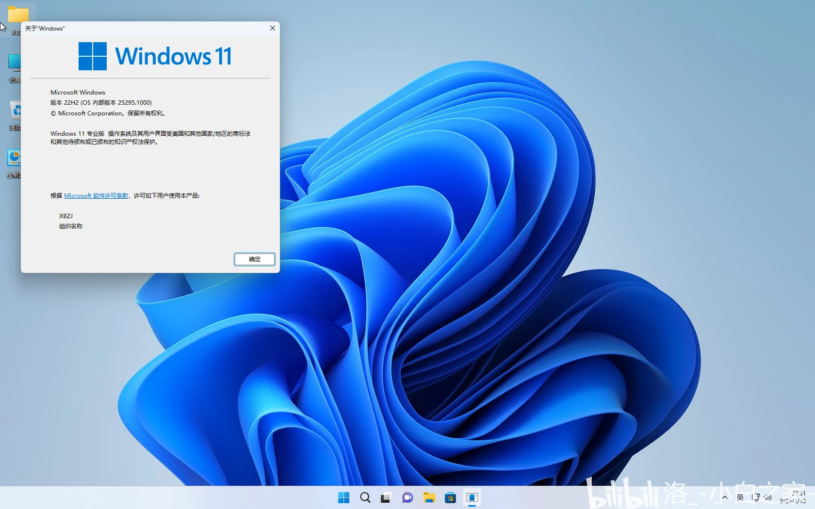 [QEMU]Windows 11 Pro Canary 25295.1000 哔哩哔哩