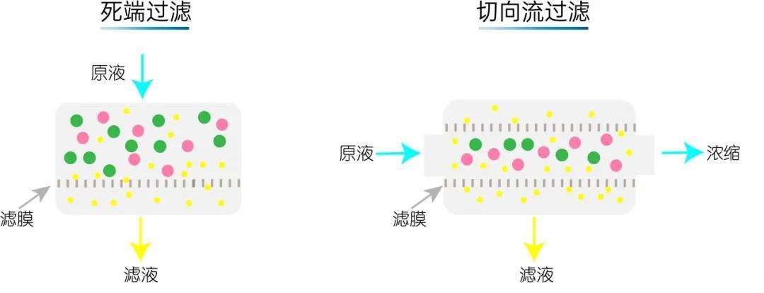 切向流过滤 - 哔哩哔哩