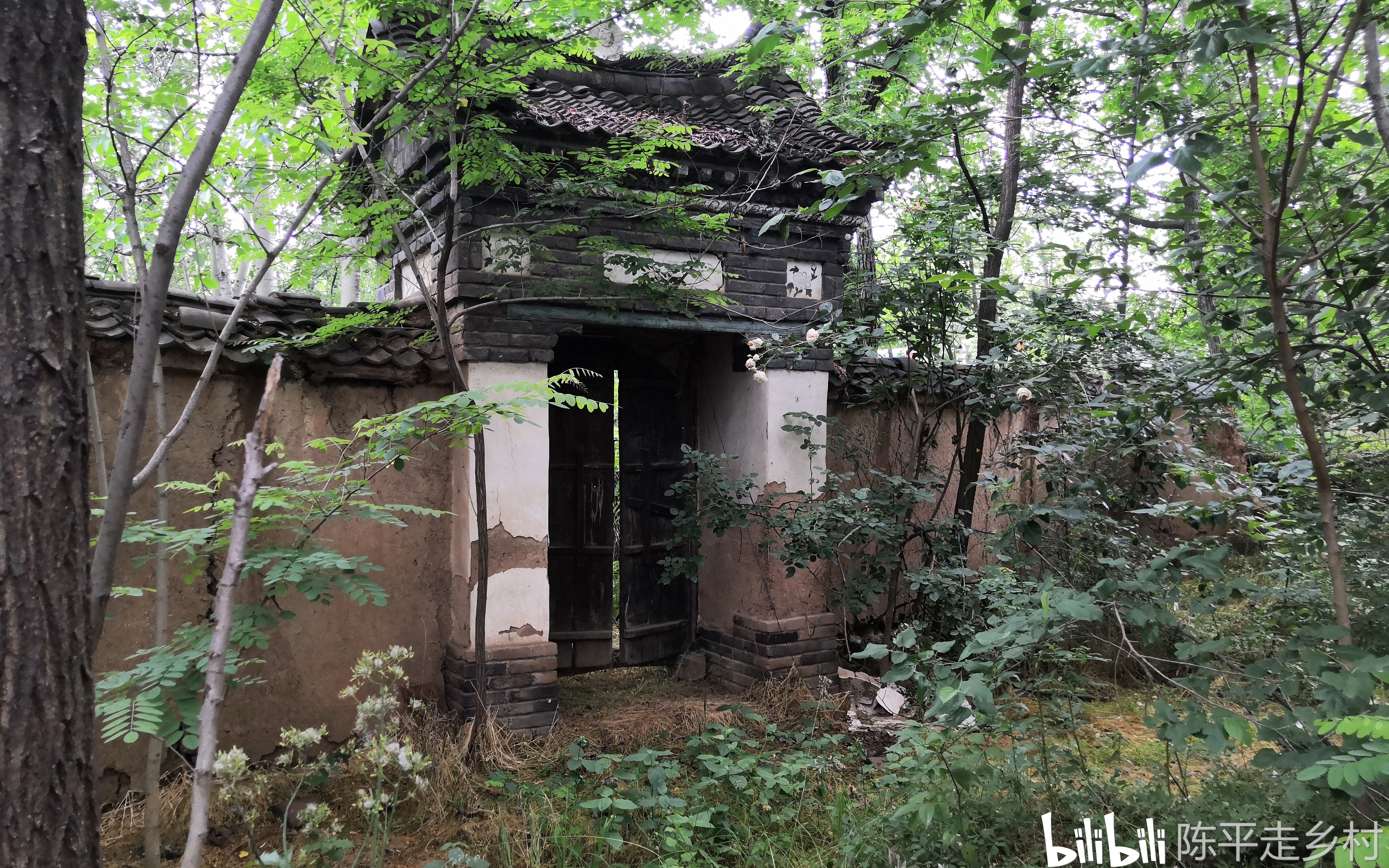 秦岭密林中发现个破宅子,可能有隐士在此住过,阴森森的能拍鬼片