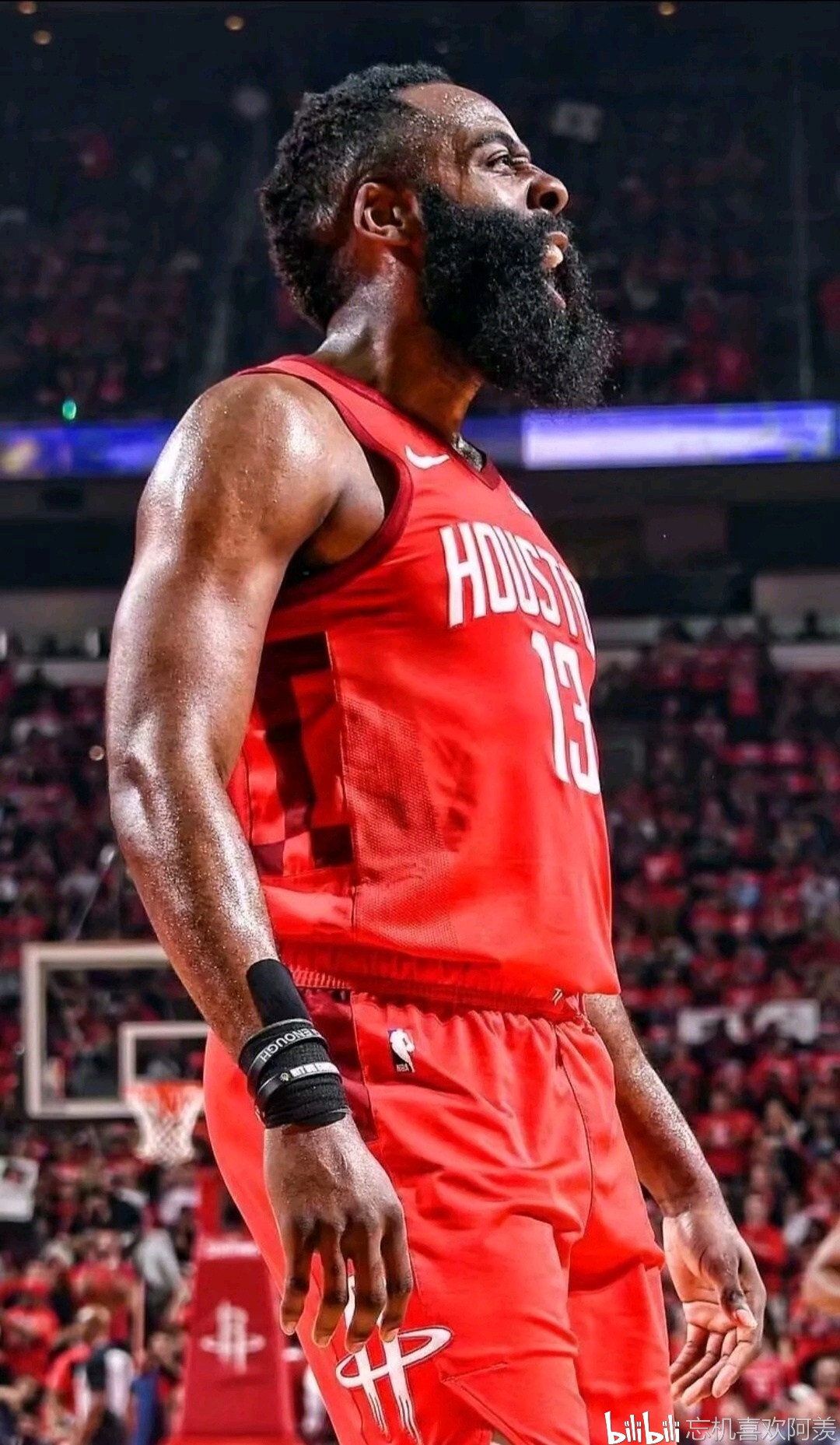 百度搜不到的篮球美图哦