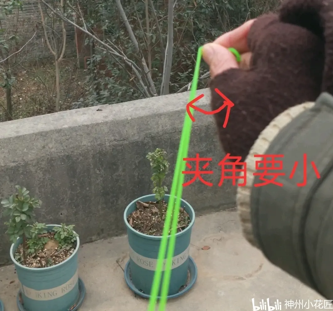 快速学会:海派无架弹弓
