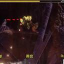 【怪猎崛起MHRise】霸主·雷狼龙大小金攻略（包含特殊尺寸小金）