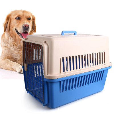 哈希娱乐- 哈希游戏平台- 哈希游戏官方网站宠物美容师：宠物“情绪”也有价值