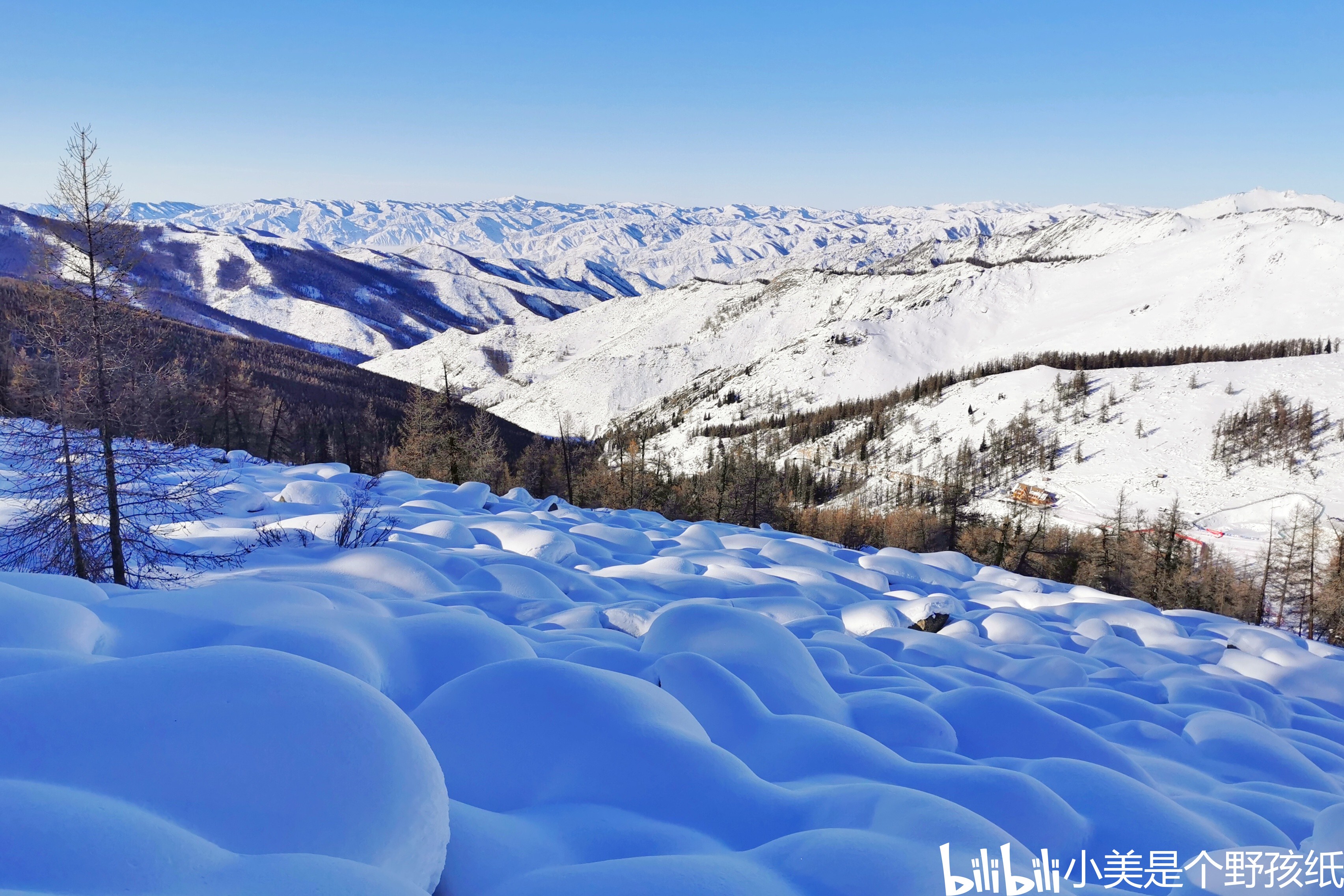 阿勒泰可可托海滑雪场图片