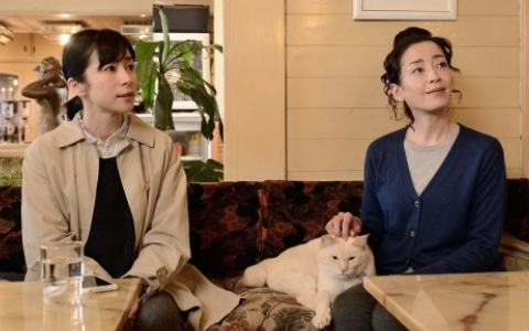 咕咕是一只猫2 3集