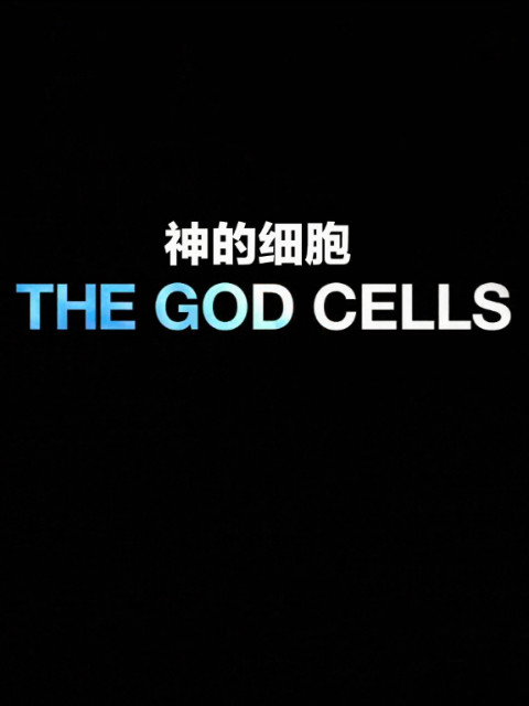 上帝的细胞