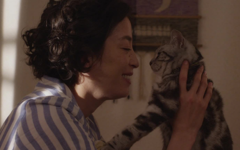 咕咕是一只猫 3集