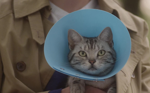 咕咕是一只猫 2集