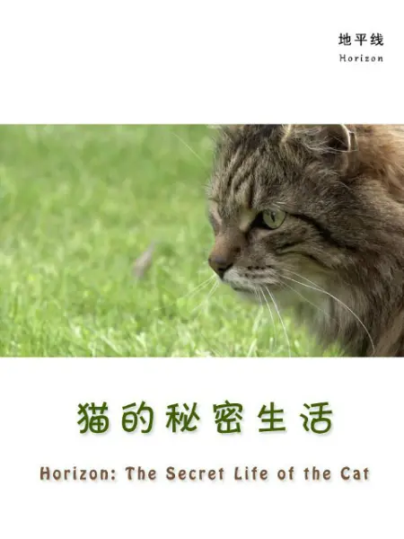 猫的秘密生活 纪录片 Bilibili 哔哩哔哩弹幕视频网 猫的秘密生活 纪录片 Bilibili 哔哩哔哩弹幕视频网