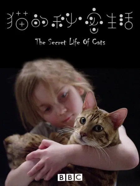 猫的秘密生活 纪录片 Bilibili 哔哩哔哩弹幕视频网 猫的秘密生活 纪录片 Bilibili 哔哩哔哩弹幕视频网