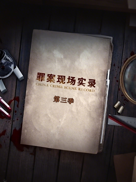 罪案现场实录 第三季
