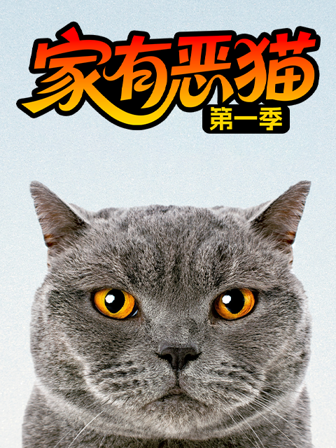 家有恶猫 第一季封面图